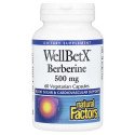 WellBetX - بربارين، 500 ملغ - دعم مستويات السكر في الدم وصحة القلب